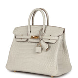 Hermes Birkin 25 Beton Matte Alligator Gold Hardware
