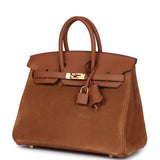 Pre-owned Hermes Birkin 25 Chamois Grizzly and Gold Swift Gold Hardware