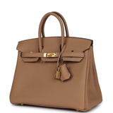 Hermes Birkin 25 Chai Togo Gold Hardware