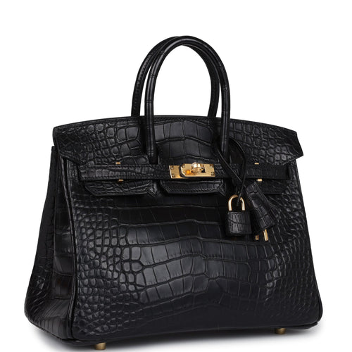 Hermes Birkin 25 Black Matte Alligator Gold Hardware