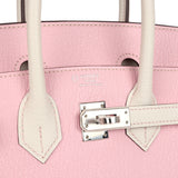 Hermes Special Order (HSS) Birkin 25 Rose Sakura and Nata Chevre Palladium Hardware