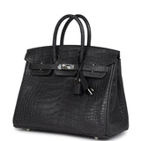 Hermes Birkin 25 Graphite Matte Alligator Palladium Hardware