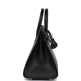 Hermes Birkin Sellier 25 Black Ostrich Gold Hardware