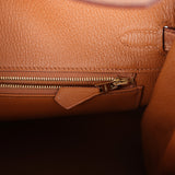 Hermes Birkin 25 Gold Matte Alligator Gold Hardware