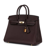 Hermes Birkin 25 Rouge Sellier Togo Gold Hardware