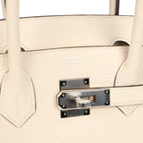 Hermes Birkin 30 Nata Clemence Palladium Hardware