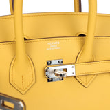 Hermes Birkin 25 Sun Swift Palladium Hardware