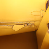 Hermes Birkin 25 Sun Swift Palladium Hardware