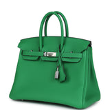 Hermes Birkin 25 Bambou Togo Palladium Hardware