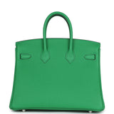 Hermes Birkin 25 Bambou Togo Palladium Hardware