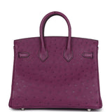 Hermes Birkin 25 Anemone Ostrich Palladium Hardware