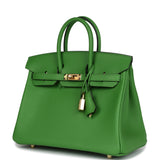 Hermes Birkin 25 Vert Yucca Swift Gold Hardware