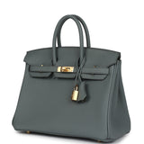 Hermes Birkin 25 Vert Amande Togo Gold Hardware