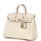 Hermes Birkin 25 Nata Swift Gold Hardware