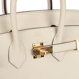 Hermes Birkin 25 Nata Swift Gold Hardware