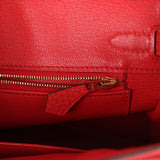 Hermes Birkin 25 Rouge de Coeur Togo Gold Hardware