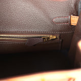 Hermes Special Order (HSS) Birkin 25 Gold Verso Ostrich Gold Hardware