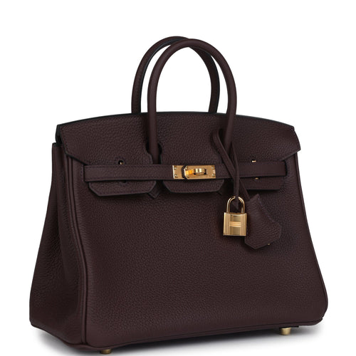 Hermes Birkin 25 Rouge Sellier Togo Gold Hardware