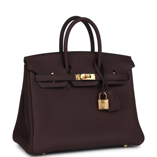 Hermes Birkin 25 Rouge Sellier Togo Gold Hardware