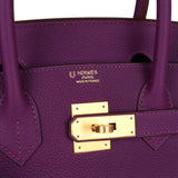 Hermes Special Order (HSS) Birkin 30 Anemone Togo Brushed Gold Hardware