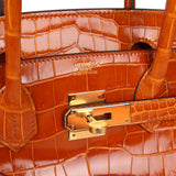 Hermes Birkin 30 Pain D' Epice Shiny Porosus Crocodile Gold Hardware