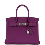 Hermes Special Order (HSS) Birkin 30 Anemone Verso Togo Brushed Palladium Hardware