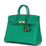 Hermes Birkin 25 Menthe Togo Gold Hardware