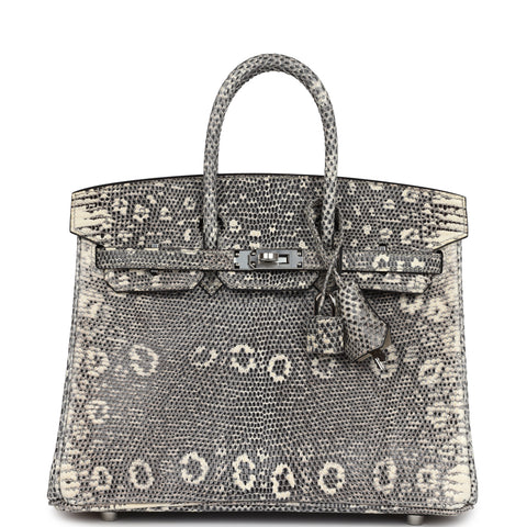 Hermes Birkin 25 Ombre Varanus Salvator Lizard Palladium Hardware