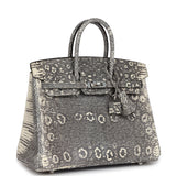 Hermes Birkin 25 Ombre Varanus Salvator Lizard Palladium Hardware