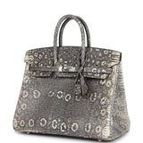 Hermes Birkin 25 Ombre Varanus Salvator Lizard Palladium Hardware