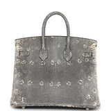 Hermes Birkin 25 Ombre Varanus Salvator Lizard Palladium Hardware