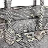 Hermes Birkin 25 Ombre Varanus Salvator Lizard Palladium Hardware