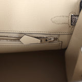 Hermes Birkin 25 Ombre Varanus Salvator Lizard Palladium Hardware