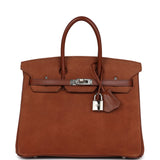 Vintage Hermes Birkin 25 Noisette Doblis and Box Palladium Hardware