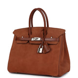 Vintage Hermes Birkin 25 Noisette Doblis and Box Palladium Hardware