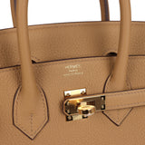 Hermes Birkin 25 Biscuit Togo Gold Hardware