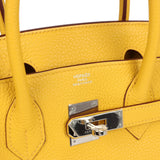 Hermes Birkin 30 Soleil Clemence Palladium Hardware