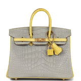 Hermes Special Order (HSS) Birkin 25 Gris Perle and Mimosa Matte Alligator Brushed Gold Hardware