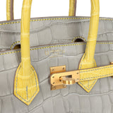 Hermes Special Order (HSS) Birkin 25 Gris Perle and Mimosa Matte Alligator Brushed Gold Hardware