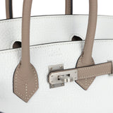 Hermes Special Order (HSS) Birkin 25 White and Etoupe Clemence Brushed Palladium Hardware