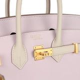 Hermes Special Order (HSS) Birkin Sellier 25 Mauve Pale and Craie Epsom Brushed Gold Hardware