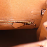 Hermes Birkin 25 Gold Matte Alligator Gold Hardware