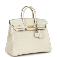 Hermes Birkin 25 Beton Ostrich Gold Hardware