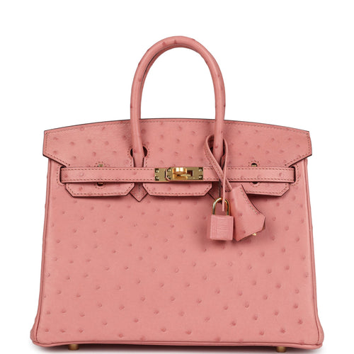 Hermes Birkin 25 Terre Cuite Ostrich Gold Hardware