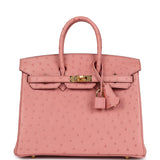 Hermes Birkin 25 Terre Cuite Ostrich Gold Hardware