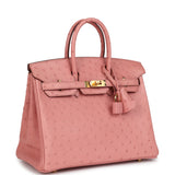 Hermes Birkin 25 Terre Cuite Ostrich Gold Hardware