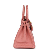 Hermes Birkin 25 Terre Cuite Ostrich Gold Hardware