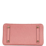 Hermes Birkin 25 Terre Cuite Ostrich Gold Hardware