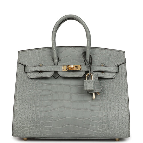 Hermes Birkin Sellier 25 Gris Ciment Matte Alligator Gold Hardware