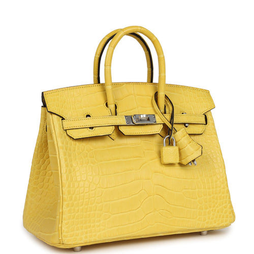 Hermes Birkin 25 Mimosa Matte Alligator Palladium Hardware